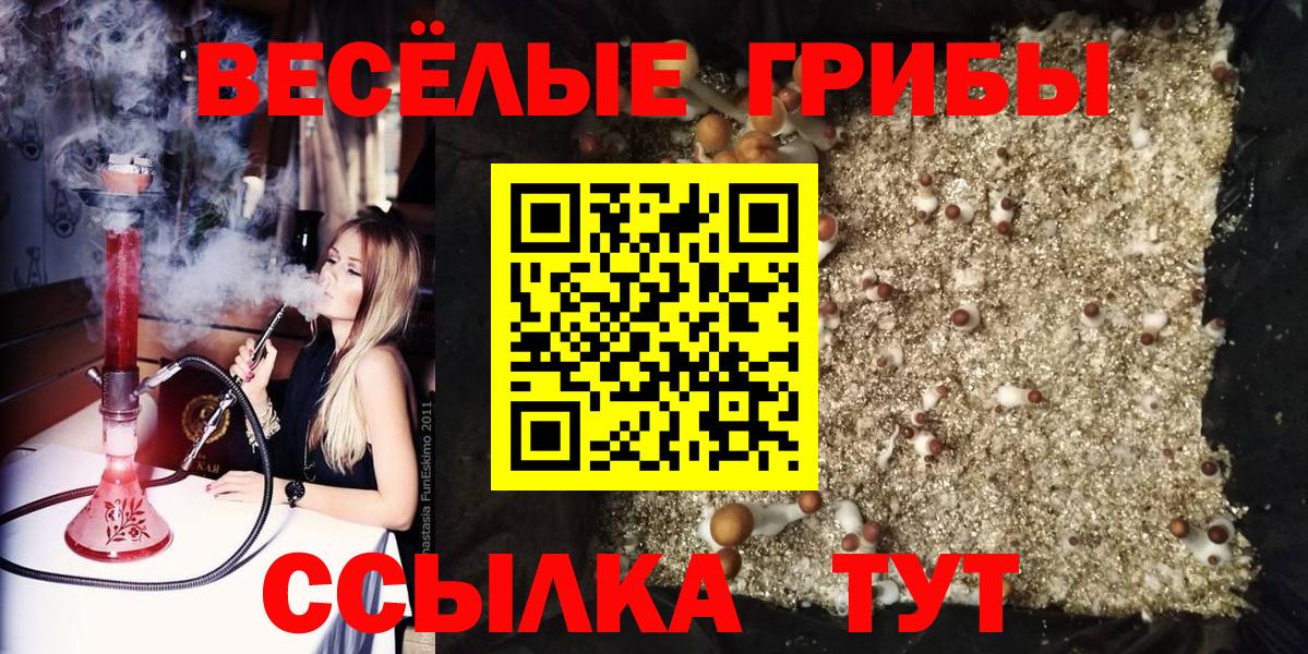 Галлюциногенные грибы ЛСД Калуга